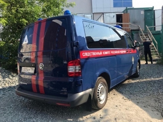 В Екатеринбурге возбуждено уголовное дело против мужчины, оскорбившего ребенка в шапке с буквой Z