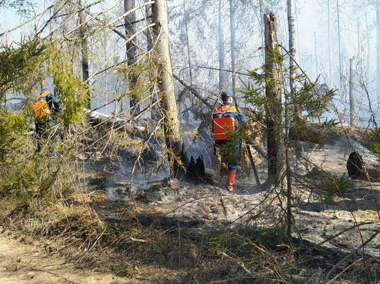 Костромской губернатор срочно выехал на место тушения лесного пожара