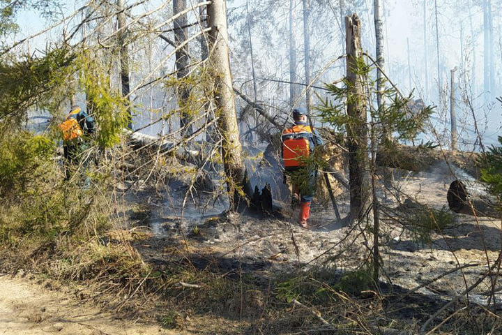 Костромской губернатор срочно выехал на место тушения лесного пожара
