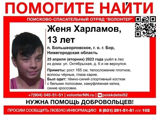25 апреля в городе Бор Нижегородской области пропал 13-летний подросток Женя Харламов