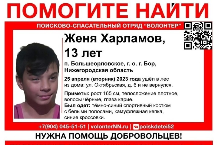 25 апреля в городе Бор Нижегородской области пропал 13-летний подросток