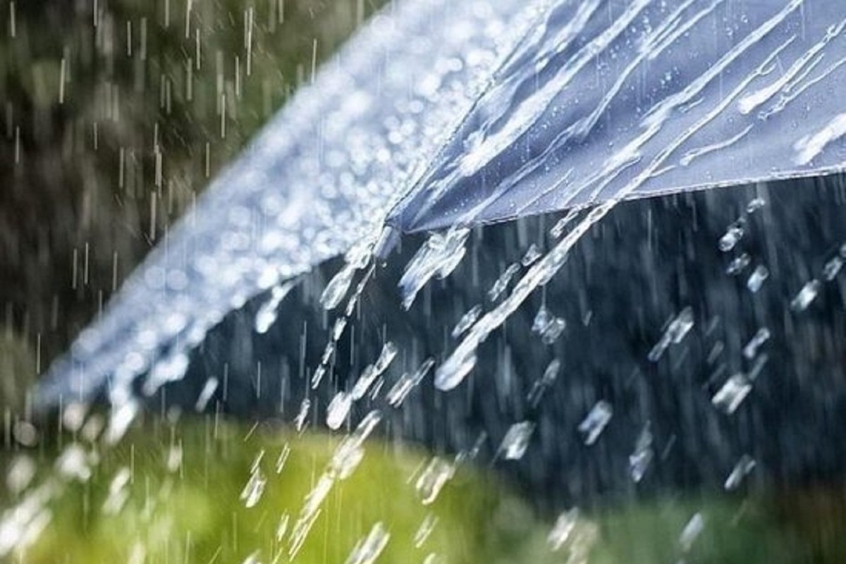 Хорошие новости от «Костромагидромета» — на область идут дожди и «черемуховые холода»
