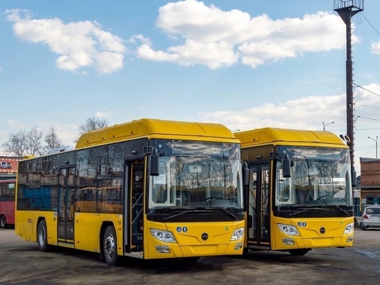 Ярославцы вновь поднимают вопрос о душных желтых автобусах