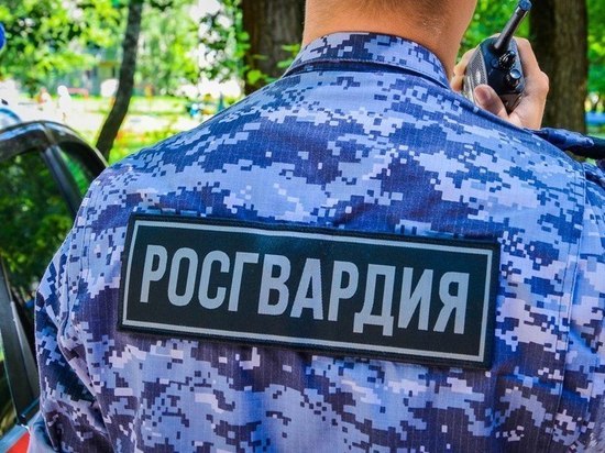 Пензенские росгвардейцы нашли пропавших мальчиков