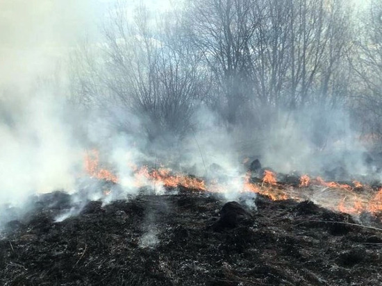 В черте города Глазова произошел ландшафтный пожар
