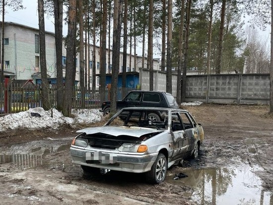 В Архангельской области парень заживо сгорел в своей машине