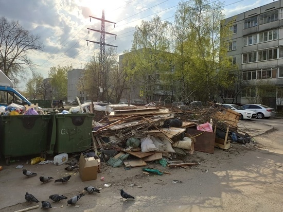 В Твери возле детского сада разрослась огромная свалка