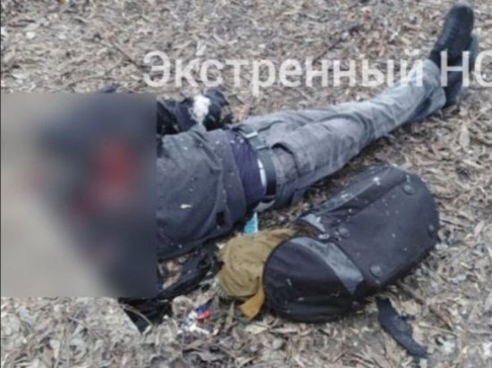 В МВД раскрыли подробности о мужчине, который подорвался на гранате под Новосибирском