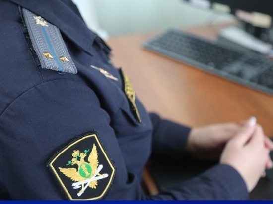 Владимирец вспомнил о родительском долге после возбуждения уголовки