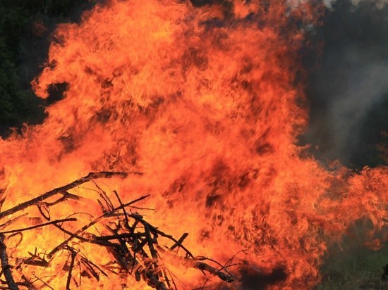 В Омской области тушат крупный лесной пожар в Колосовском районе