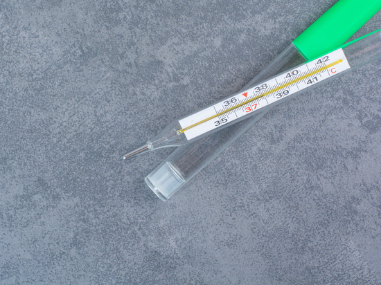 Жители Карелии смогут сдать в переработку ртутьсодержащие отходы