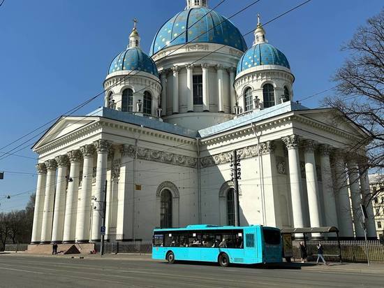 В Петербурге количество ДТП по вине водителей общественного транспорта сократилось на 25 %