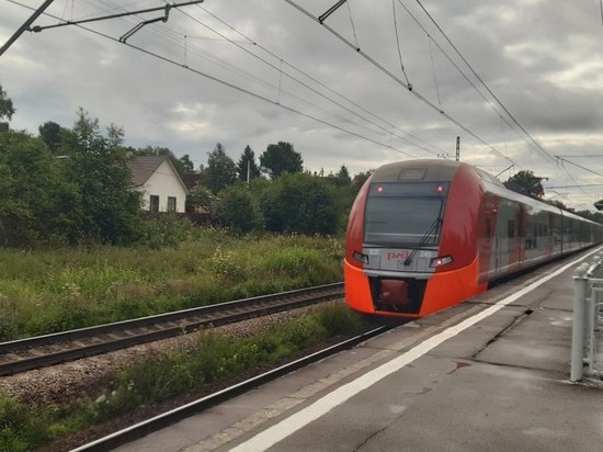 Запуск тактового движения электропоездов на 20 % повысил популярность направления из Петербурга в Павловск