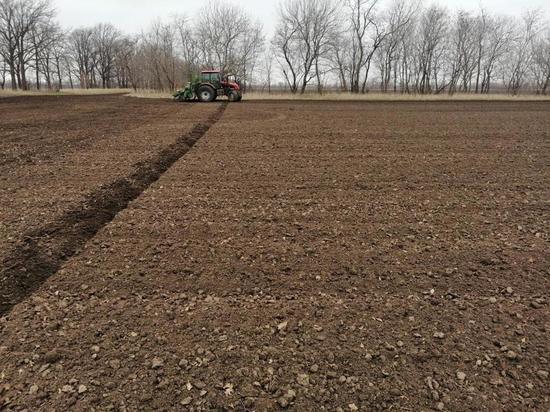 Более 33 тысячи га сахарной свеклы засеяли аграрии Ставрополья