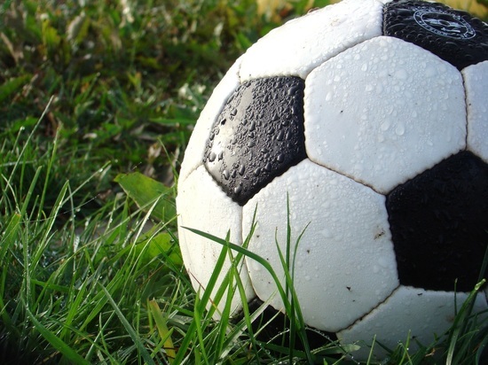 Власти Курской области рассматривают вопрос о создании Регионального центра футбола