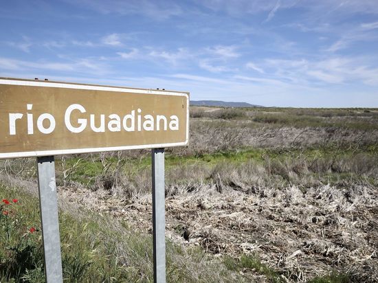 Испания просит у ЕС  денег на борьбу с засухой, но их уже израсходовали на последствия зерновой сделки