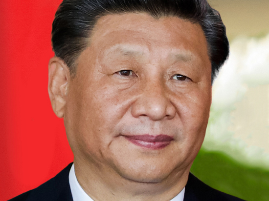 Политолог Донцов: переговоры Зеленского и Си Цзиньпина — шаг навстречу России