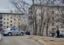 Жилой дом по улице Чкалова, 46 в Чите в районе торгового центра «Эльдорадо» оцепили из-за подозрительного предмета. Об этом 27 апреля корреспонденту «МК в Чите» сообщил источник.