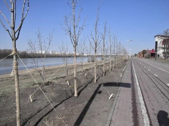 Виталий Хоценко планирует изменить качество городской среды в Омске