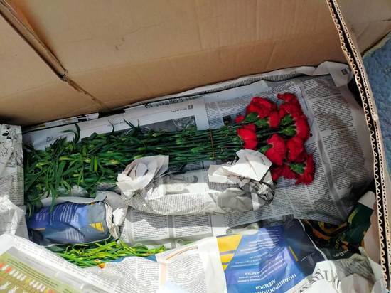 В Омскую область из Казахстана попытались нелегально три тысячи цветов