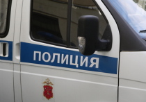 В Санкт-Петербурге жительница Курортного района заявила в полицию о том, что была изнасилована неизвестным