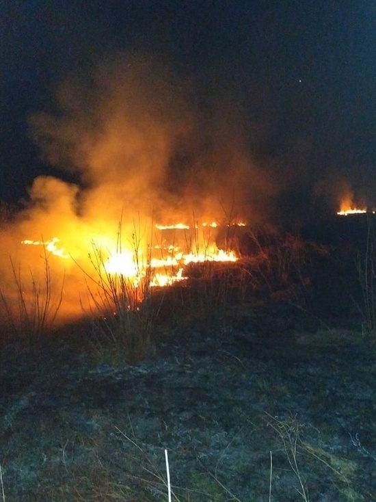 Под Курском из-за пала сухой травы чуть не сгорело полсела