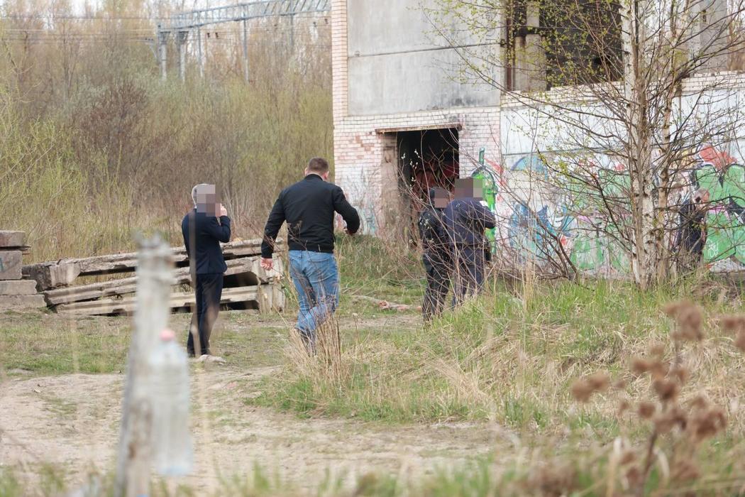 Павловск Санкт Петербург новости
