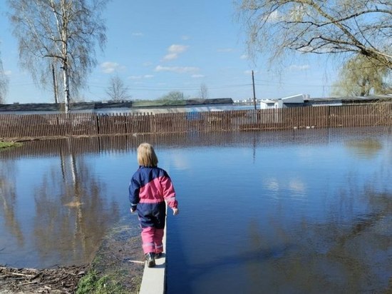 Восемь земельных участков в Новгородской области освободились от паводковой воды