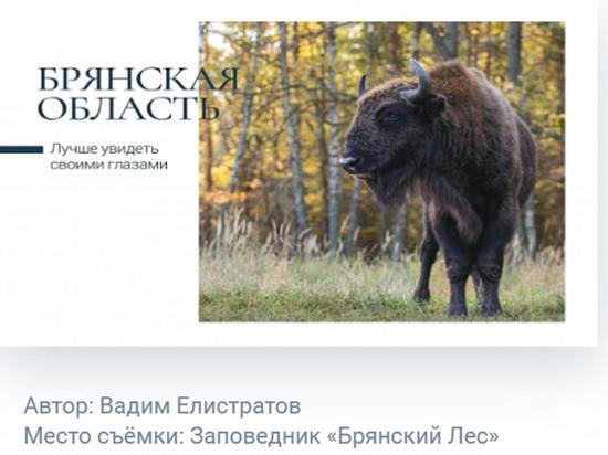 Почта России выпустила набор открыток с видами Брянщины