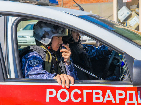 В Челябинске арестовали мужчину, избившего пенсионерку у администрации