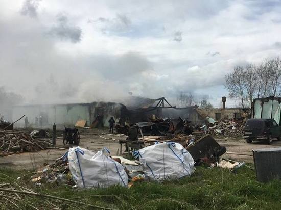 В Зеленоградском округе произошел пожар в ангаре