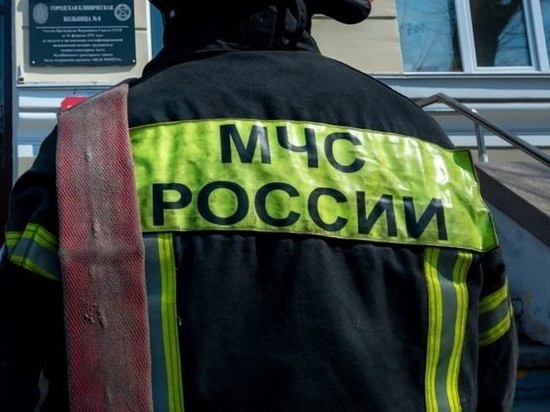 В Челябинской области два человека сгорели в автомобиле