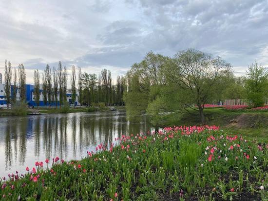 В Белгородской области ко Дню Победы пройдут почти 16 тысяч мероприятий