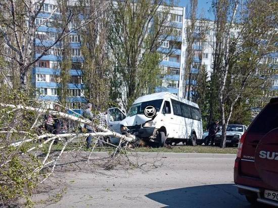 В Пензе маршрутка с пассажирами снесла березу в Арбеково