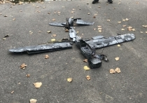 Пограничники ликвидировали украинский беспилотный летательный аппарат, пересёкший границу России, передаёт Telegram-канал Shot