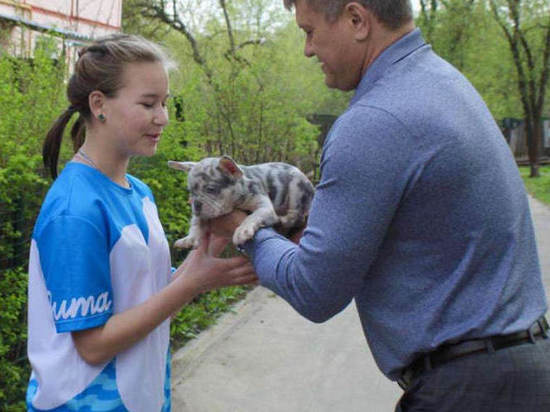 Президент России Владимир Путин подарил девочке из Тульской области собаку