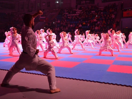 Всероссийский фестиваль боевых искусств прошёл в брянском Дворце единоборств