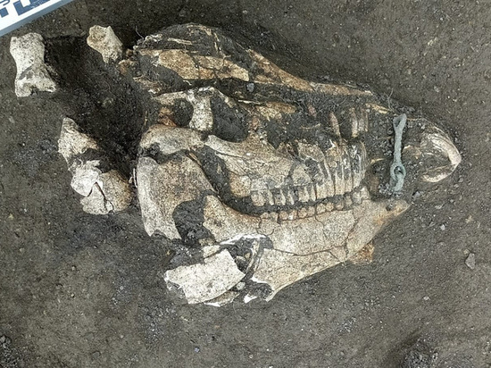 В Анапском районе археологи ведут раскопки захоронения раннего железного века