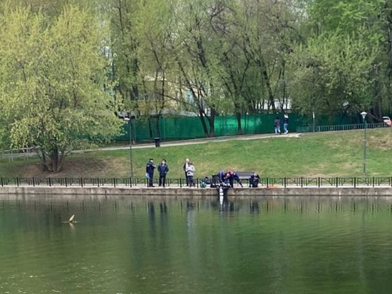 Вероятно, любителю подводного плавания они померещились