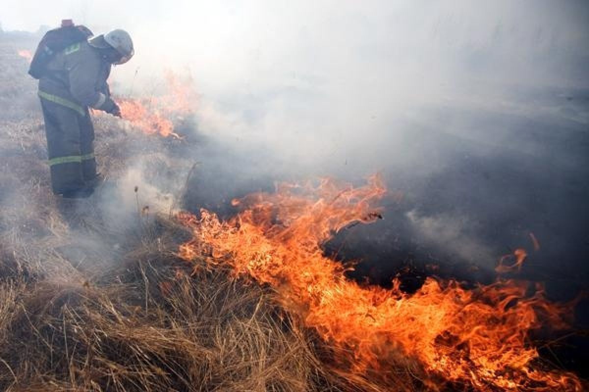 Лесной пожар в Парфеньевском районе Костромской области ликвидирован