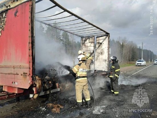 В деревне Добывалово сгорел грузовик и все содержимое