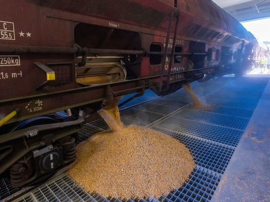 В Евросоюзе согласовали снятие запрета на импорт зерна с Украины