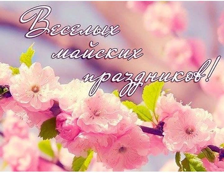 Отличных майских выходных картинки