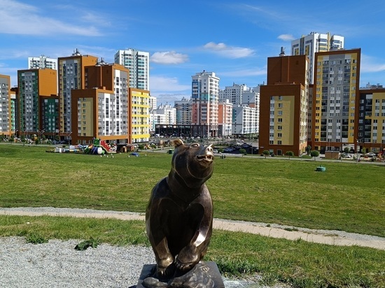 Земляные клопы атаковали квартиры екатеринбуржцев