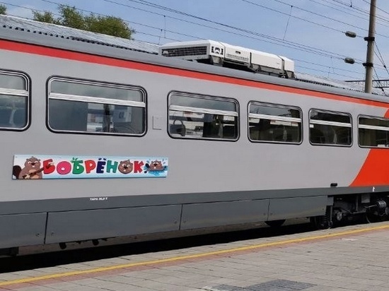 В Воронеже появится новый железнодорожный маршрут «Бобренок» до биосферного заповедника