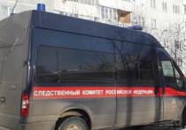 Глава СК России Александр Бастыркин поручил возбудить уголовное дело по факту избиения школьника в Калуге 