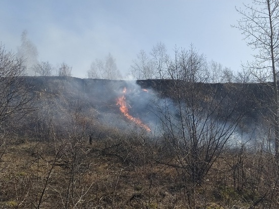 Первый лесной пожар произошел 29 апреля в Томской области