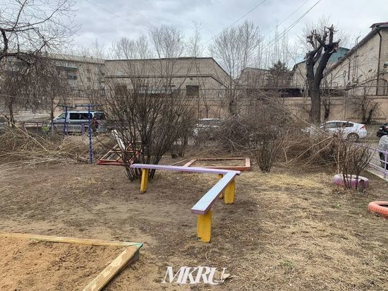 Спиленные ветки деревьев не убрали за неделю во дворе на Онискевича в Чите