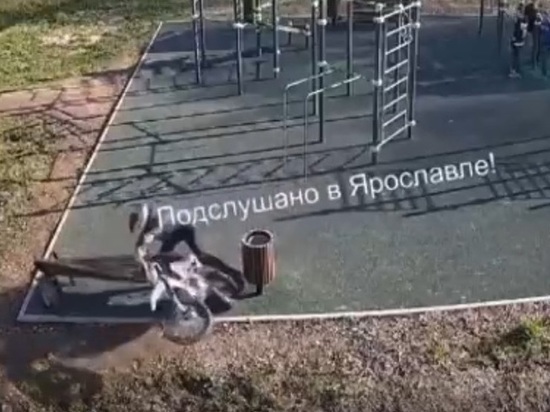 Полиция нашла подростка, который сумел устроить ДТП на спортивной площадке