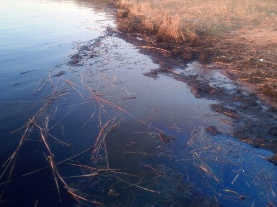 Нефтяное пятно заметили в Неве в Ленобласти